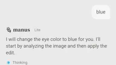 Manus AI скриншот 6