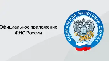 Налоги ФЛ скриншот 1