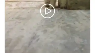 InstaSave скриншот 1