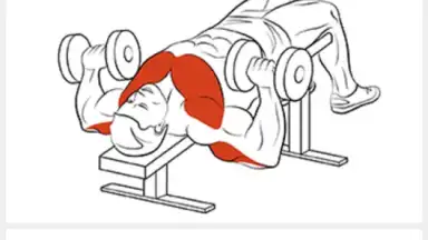 FitProSport скриншот 5