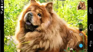 Camera HD скриншот 8