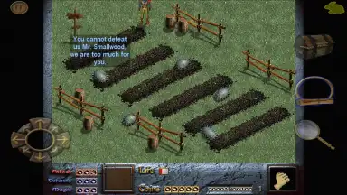 Dink Smallwood HD скриншот 11