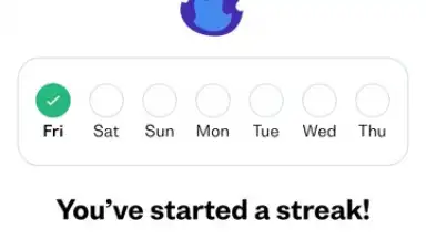 Busuu скриншот 16