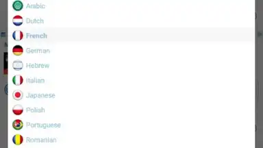 Reverso Translation Dictionary скриншот 9