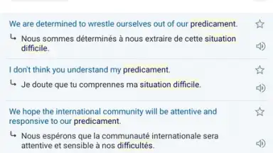 Reverso Translation Dictionary скриншот 3