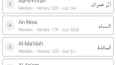 Easy Quran Mp3 скриншот 6