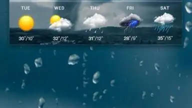 Live Weather & Local Weather скриншот 1