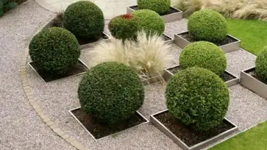Garden Design Ideas скриншот 4