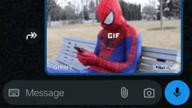 WhatsApp Business скриншот 6