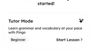 Pingo AI скриншот 1