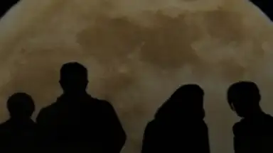 MSC Player скриншот 2