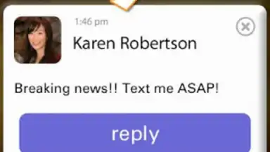 Pinger Messenger скриншот 3