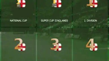 True Football 3 скриншот 5