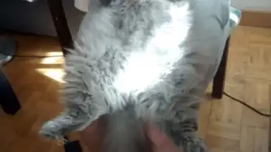 WeLine скриншот 4