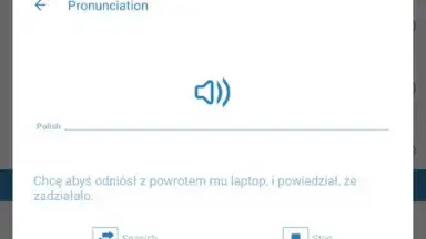 Reverso Translation Dictionary скриншот 14