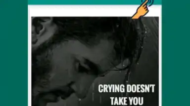 Guardar Estados de WhatsApp скриншот 1