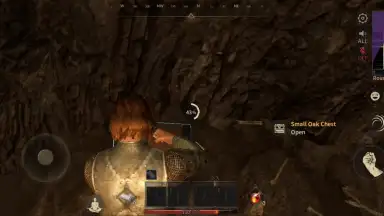 Abyss of Dungeons (Dark and Darker Mobile) скриншот 13