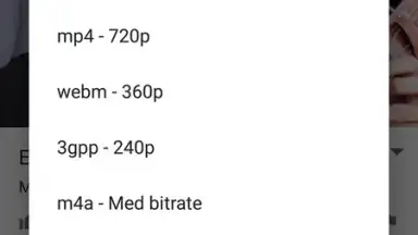 YouTube-DL скриншот 1