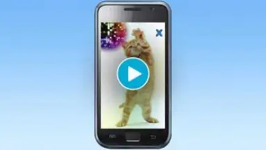 Talking, Dancing Cat. скриншот 1