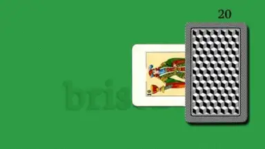 Brisca скриншот 5