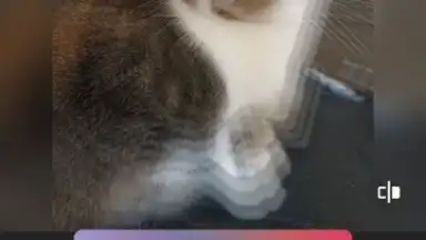 InShot скриншот 3