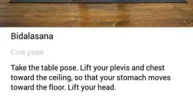 Yoga скриншот 2