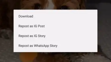 InstaPrime скриншот 2