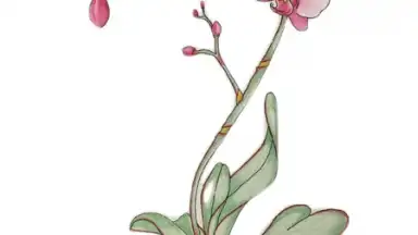 Shuffles by Pinterest скриншот 2