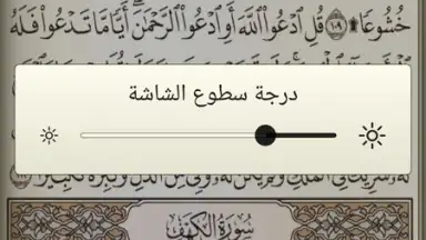 القرآن الكريم كامل مع التفسير‎ скриншот 3