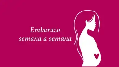 Semanas Embarazo скриншот 7