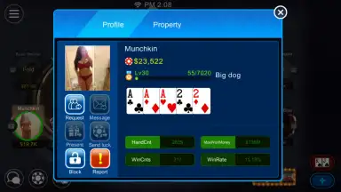 Dinger Poker скриншот 2