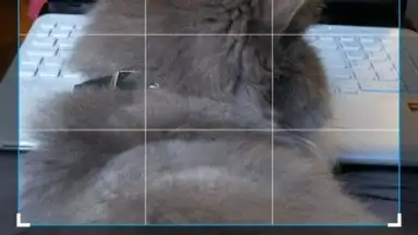 LeafPic скриншот 5