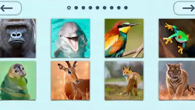 Puzzles without Internet скриншот 3