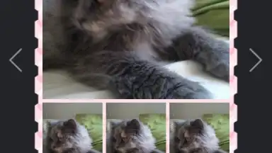 Wondershare PowerCam скриншот 2