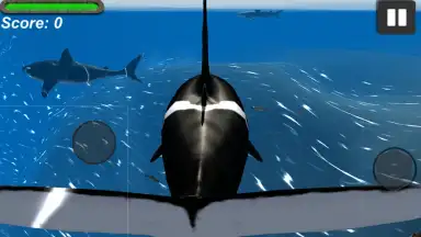 Orca Simulator скриншот 3