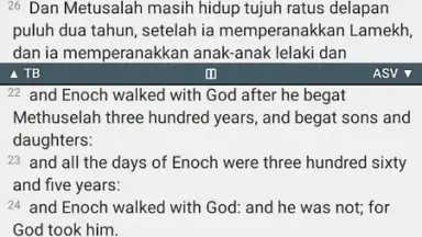 Alkitab скриншот 6