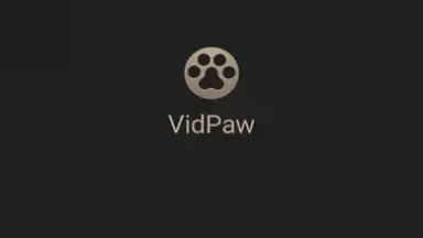 VidPaw App скриншот 3
