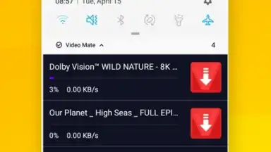 Vidora YouTube Downloader | free & fast скриншот 10