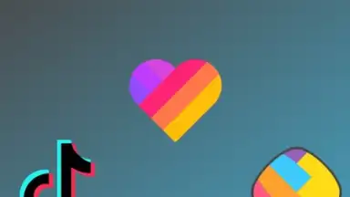 Smart Downloader скриншот 1