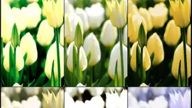 Mega Photo скриншот 7