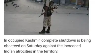 Pak Browser скриншот 2