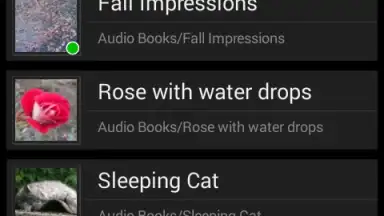 Music Folder Player Free скриншот 2