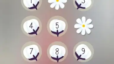 PIP Lock Screen скриншот 23