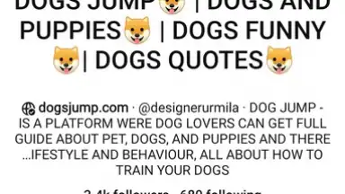 Pinterest скриншот 6