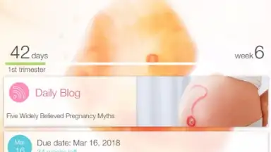 Pregnancy + скриншот 17