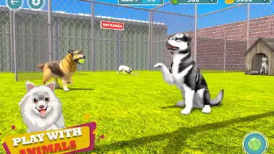 My Pet Animal Shelter World скриншот 4