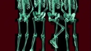 Scanner X-ray скриншот 1