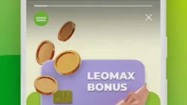 LEOMAX скриншот 1