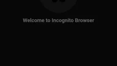 Private Browser скриншот 1