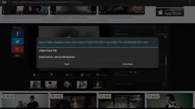 Broloader Video Downloader скриншот 10